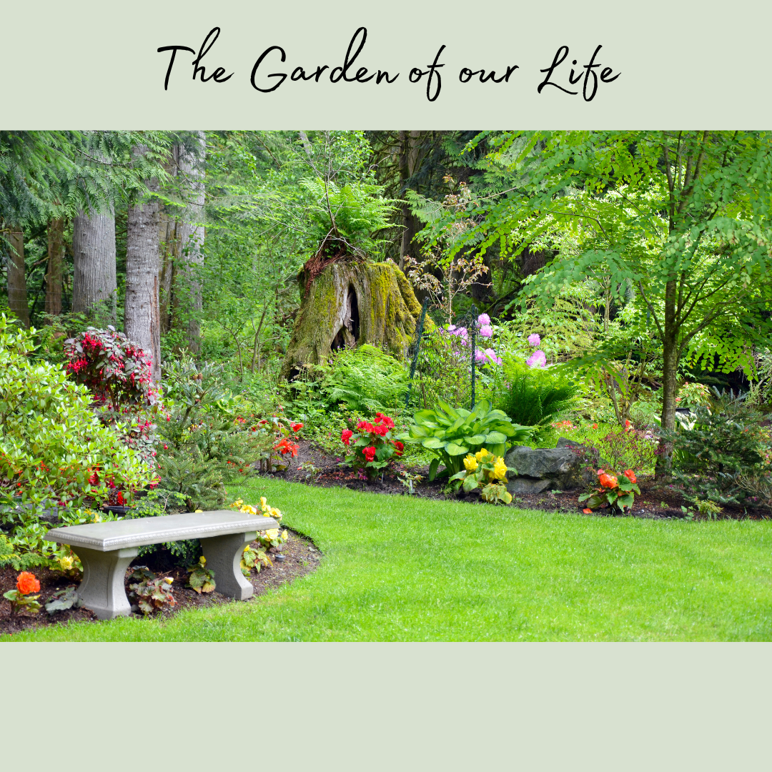 The Garden of our Life