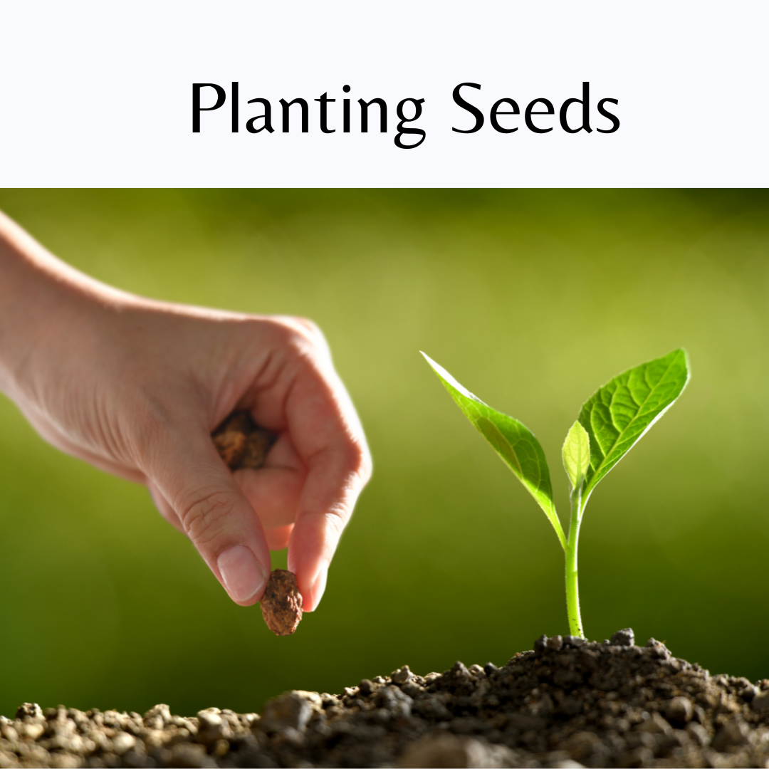 Planting Seeds – NewDay2