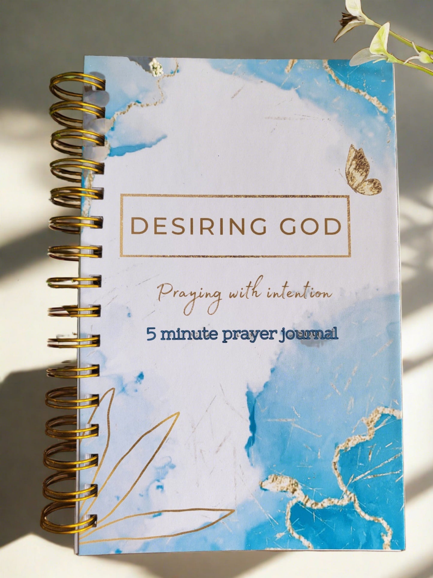 Desiring God 5 Minute Journal (Paperback)
